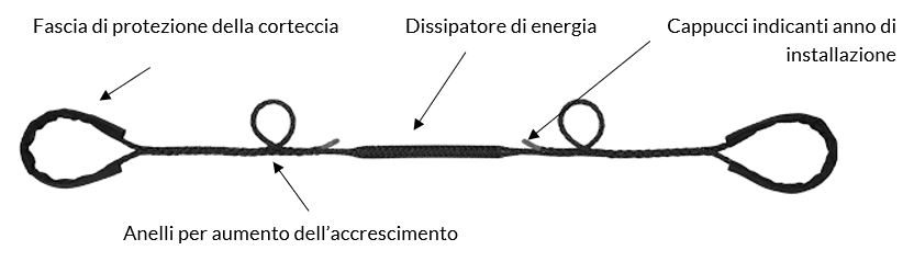 consolidamento mobile alberi cobra